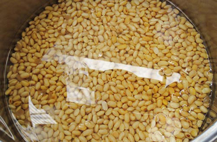 Tại sao cần ngâm đậu, hạt ngũ cốc trước khi chế biến?